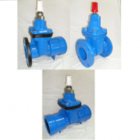 Resilient Seat Gate Valves